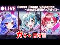 【白猫】2026バレンタイン「Sweet Stage Valentine~あなたに贈るピュアボイス~」ガチャ回す+お試し検証!【実況・ライブ】