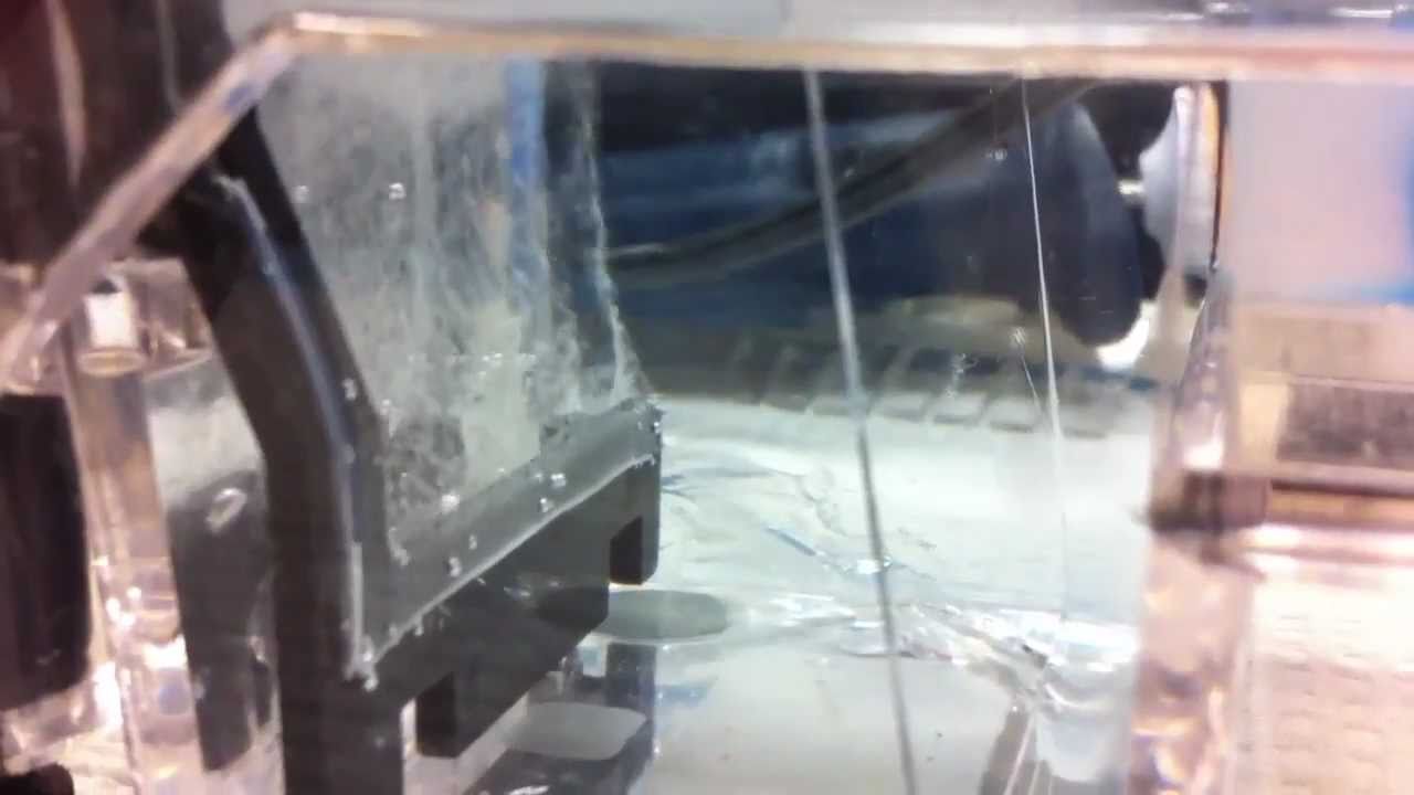 Analysis of DNA Fragments by Agarose Gel Electrophoresis - YouTube