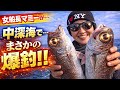 【女船長】サムネ以外のデカい高級魚釣れた #視聴者プレゼント #中深海