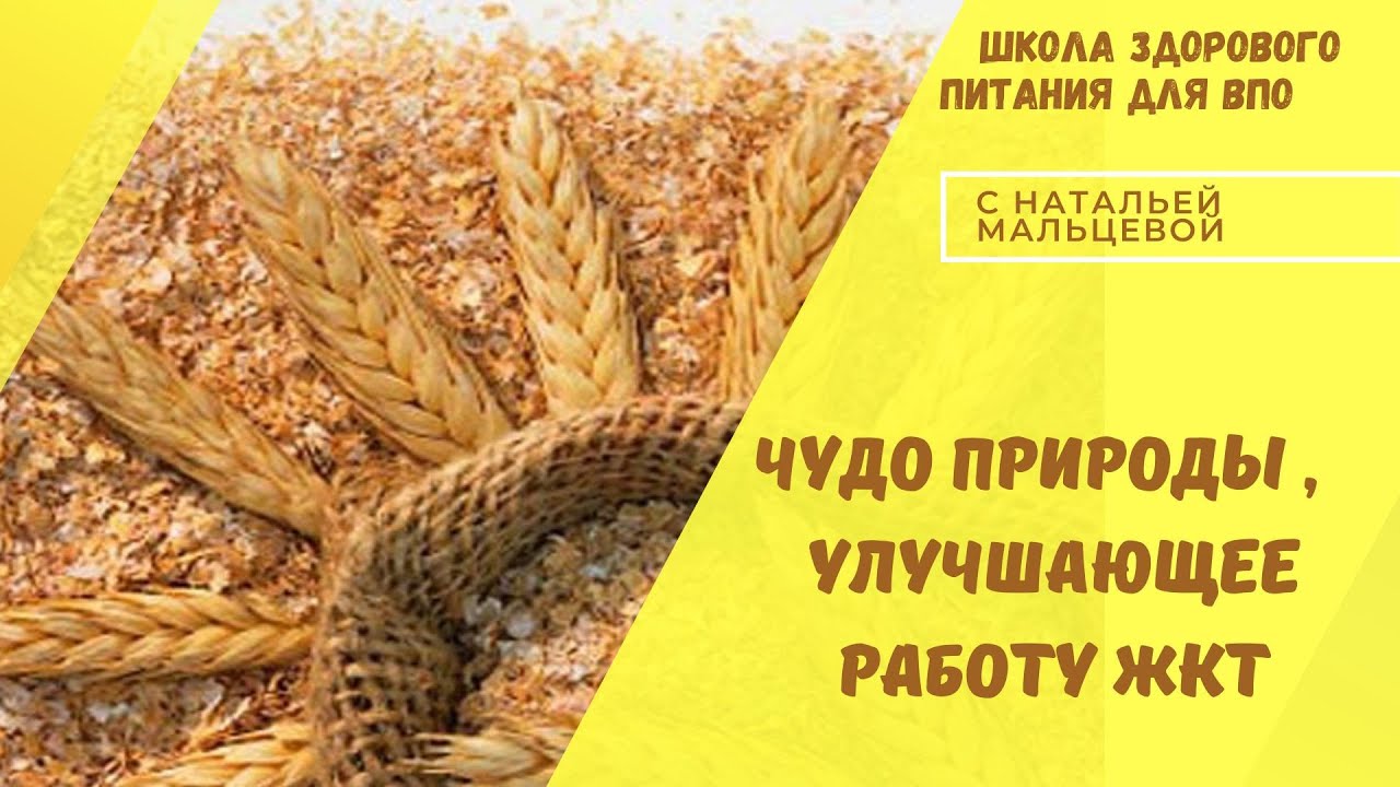 ЧУДО ПРИРОДЫ, УЛУЧШАЮЩЕЕ РАБОТУ ЖКТ - YouTube