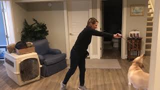 Targeting - Teaching Beau to Spin