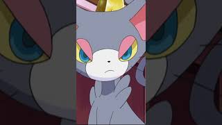 Meet Purrloin Glameow and Litten #toadandbuddiespokémon #anime