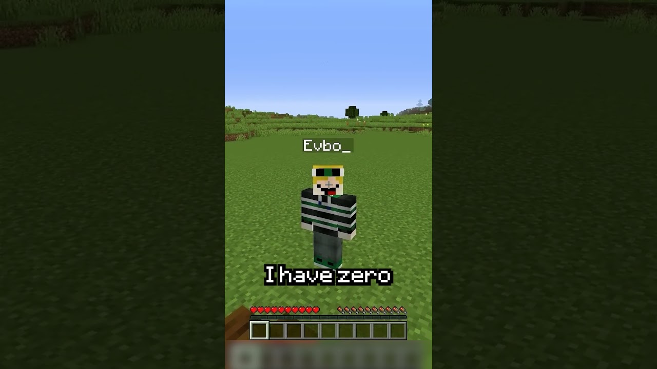 POV: You’re the poorest player on the server #minecraftmemes