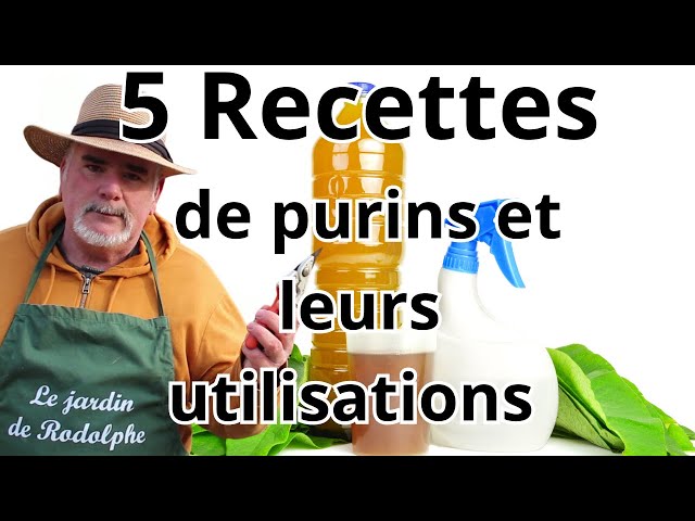 Une plante 3-en-1 que tout jardinier devrait connaître : elle grimpe, nourrit et protège