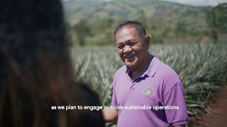 Pinyapel: locally-made specialty paper from discarded pineapple leaves