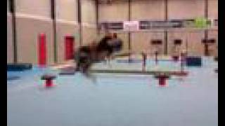 gainer gainer corkscrew