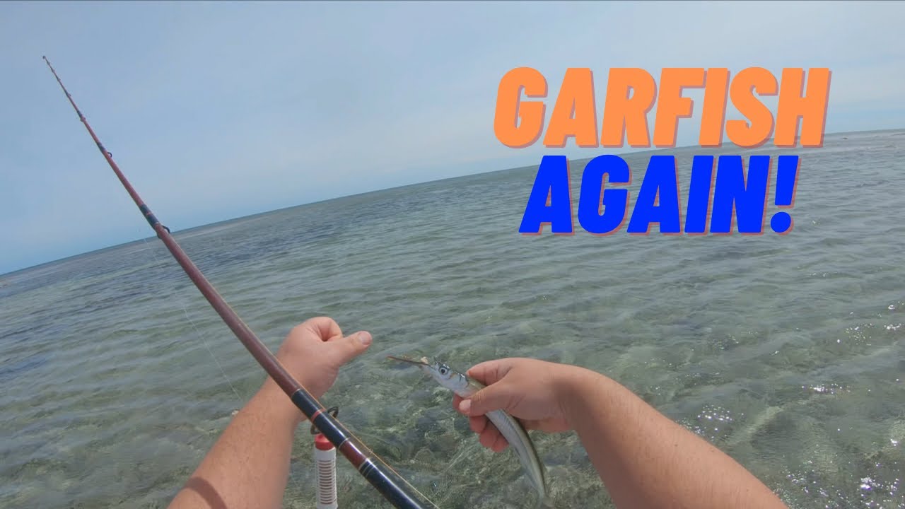 Carrickalinga Beach Fishing for GARFISH again Fishing South