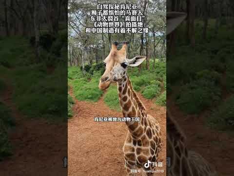我的世界人民受苦了！！