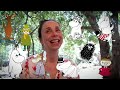 Moomins in Israel - Day of Tove Jansson and Finnish Art - Interview with Dana Caspi