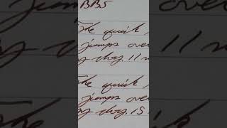 Pensbbs Fountain Pen Ink