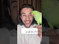اهداء الى سيف علي فؤاد ببغاء ببغاء متكلم طنطل تريند ترند  كوميدي كوميديا