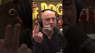 Joe Rogan Exposes Walt Disney 🤯