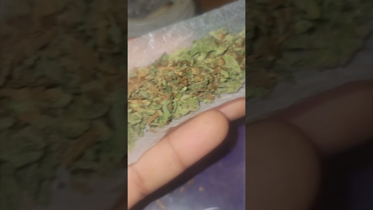 real Jamaican spliff 🤧 that hash fried ma turkey       