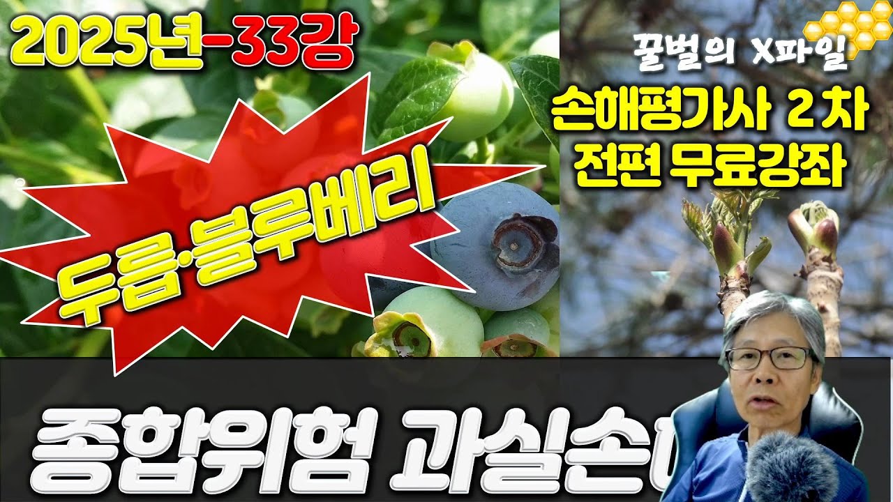 2025년 손해평가사 33강, 과실손해보장 과수 - 두릅, 블루베리, 손해평가사 2차시험 전과목 무료강의