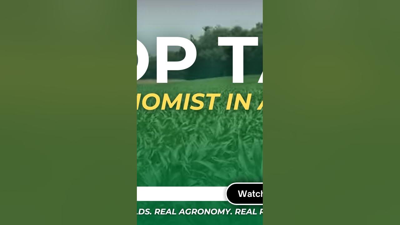 billy-carter-agxplore-s-in-furrow-program-corn-the-importance-of