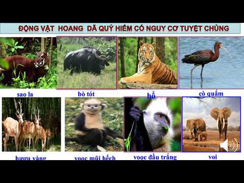 Thứ tư ngày 06 tháng 05 năm 2020 TNXH: Một số loài vật sống trên cạn, Một số loài vật sống dưới nước