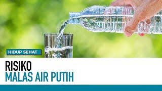 Jangan Malas Minum Air Putih Ini Risikonya | Hidup Sehat