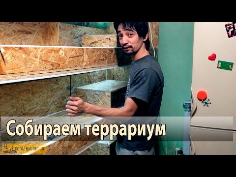 Собираем террариум