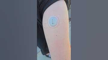 Purrrrfect Dexcom Swap #diabetes #type1diabetes #t1d #dexcom #dexcomchange #dexcomg7 #expressionmed