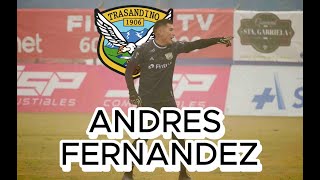 ANDRES FERNANDEZ ARQUERO TRASANDINO