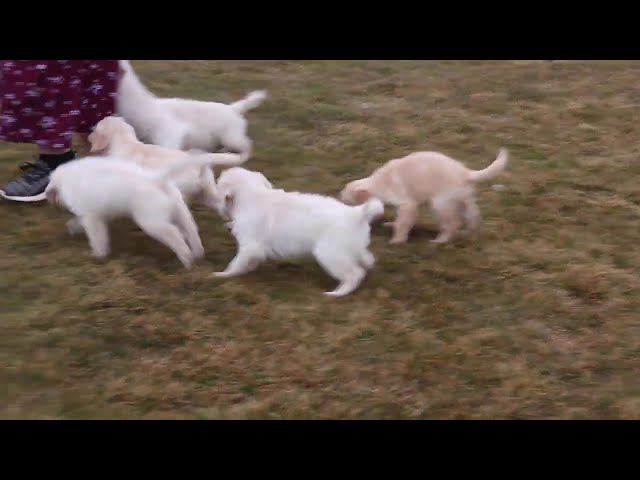 Holly video thumbnail