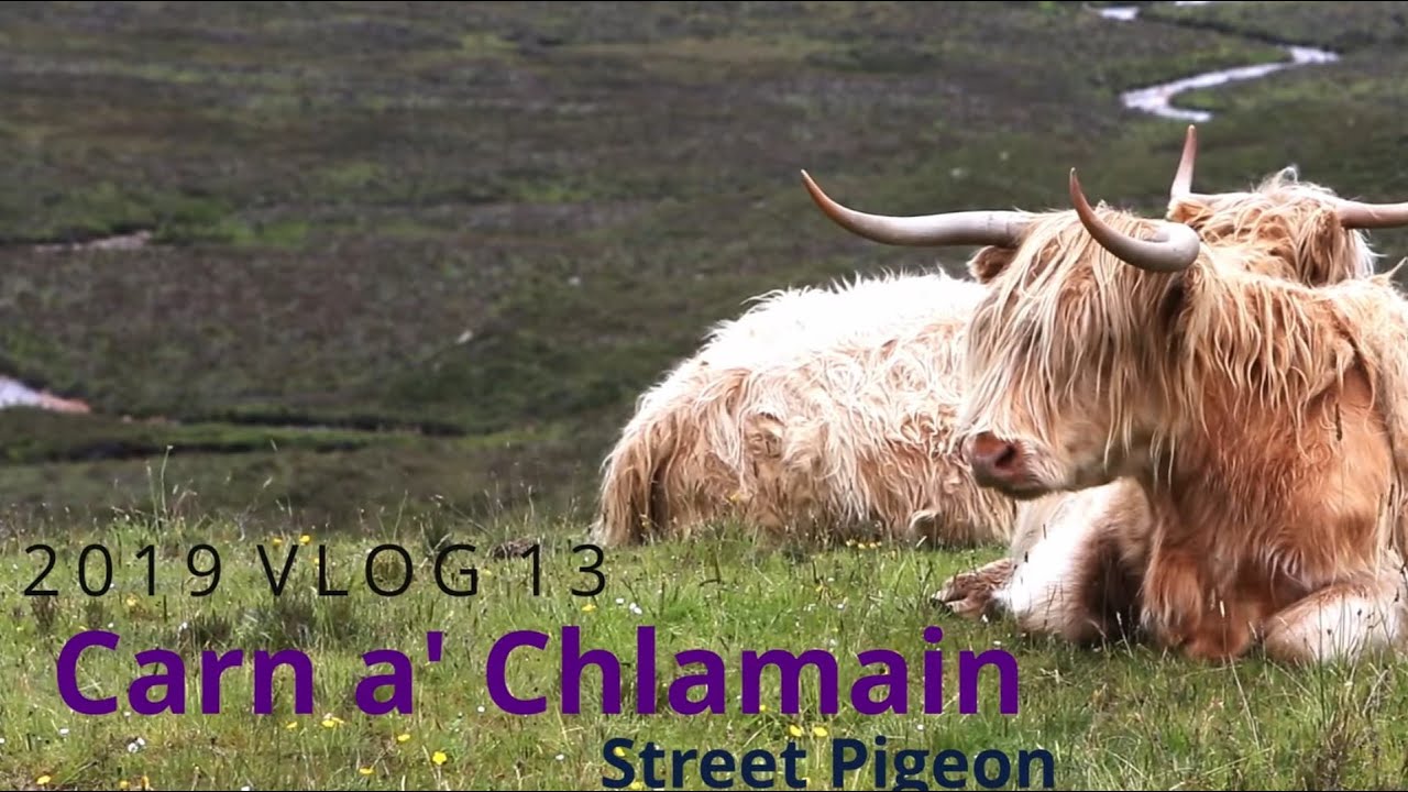 Mountain biking on Scottish Mountains | Carn a' Chlamain