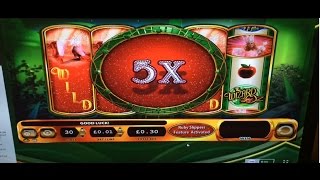 RUBY SLIPPERS - MEGA BIG WIN - 30p STAKE