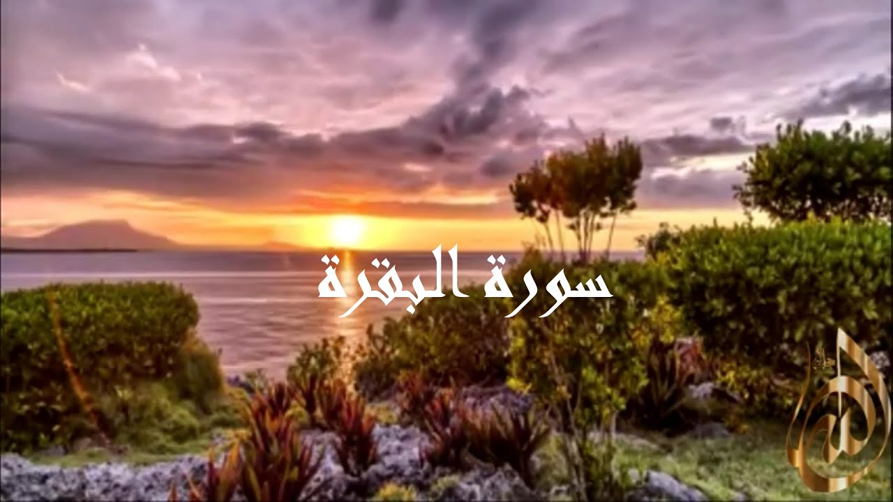 سورة البقرة مع اجمل المناظر الطبيعية بتلاوة الشيخ رعد الكردي