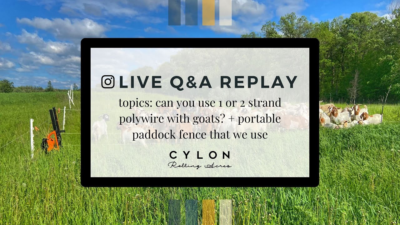One or two strand polywire with goats? Portable paddock fencing - Live ...
