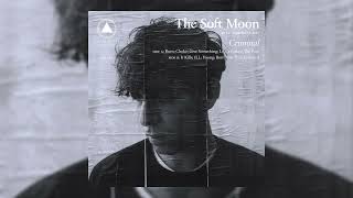 The Soft Moon - ILL screenshot 3