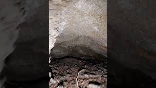 mystery cave, 6k, vertical