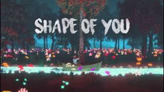 Ed Sheeran - Shape Of You (Lofi Version)