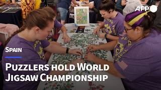 Competitors battle it out in World Jigsaw Puzzle Championship final | AFP