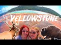 2-DAY ITINERARY to YELLOWSTONE NATIONAL PARK (TRAVEL TIPS)