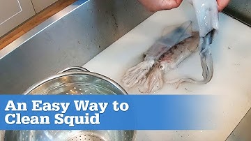 How to Clean a Fresh Squid