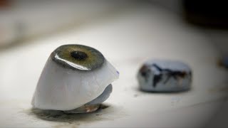 How to make a prosthetic eye