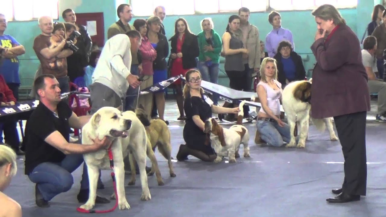 BEST JUNIOR / ЛУЧШИЙ ЮНИОР  01 05  2014