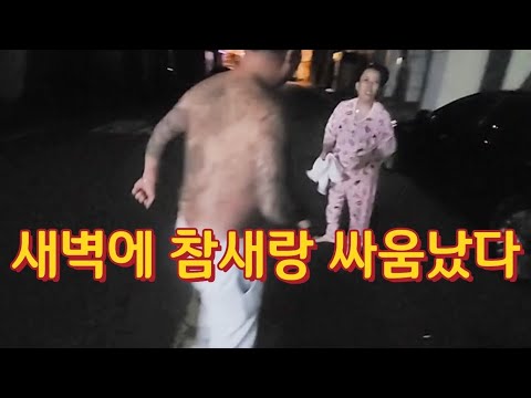   욕빵이모 새벽에무슨일이고