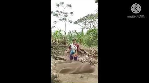 Three After Effects || CS ELEC 1 ACT 2B (D)