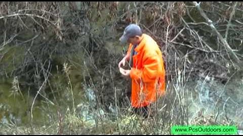 How to Set a Beaver,Otter, Mink, Muskrat Drowner Trap