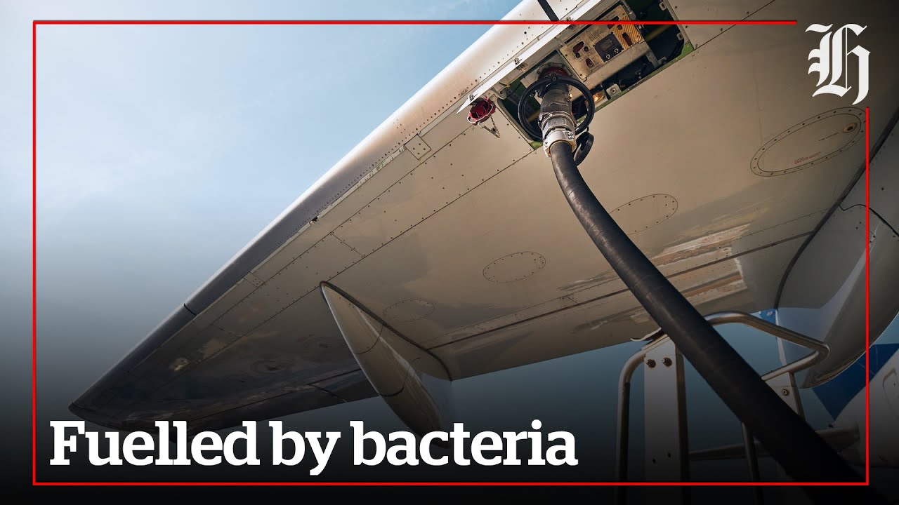 Bacteria could be the answer to aviation fuel crisis nzherald.co.nz YouTube