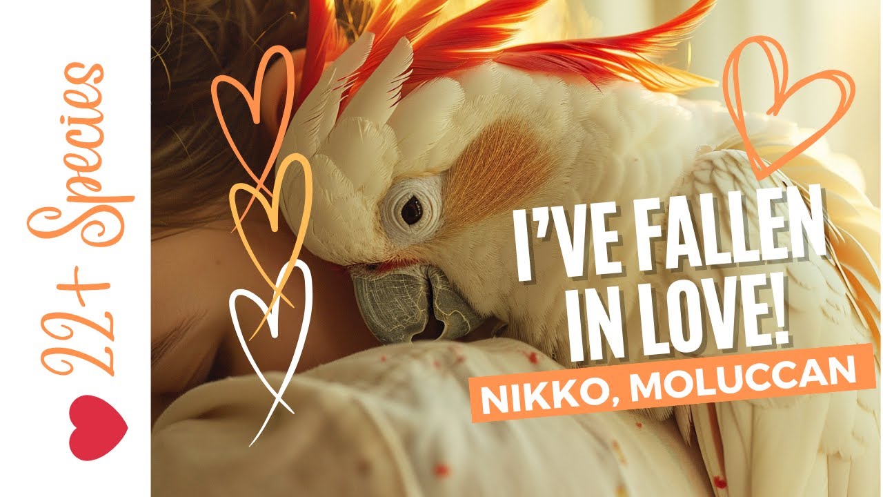 This Parrot STOLE MY ❤️! 