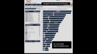 Navigate to the Chromosome Browser