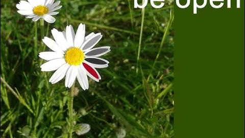 Digital.CSIC llega a los 90.000 trabajos