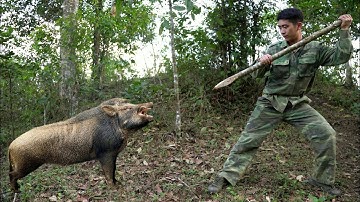 FULL VIDEO 100 DAYS, wild boar trapping techniques, survival. alone, survival instinct