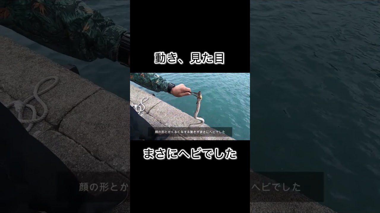 冬の海でまさかの連発劇！衝撃の魚も... #shorts