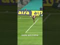 #var #palmeiras #flamengo