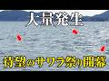 【サワラ開幕】ジャークの違いが釣果にどれほど影響するかわかります