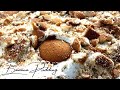 BANANA PUDDING CAKE | DESSERTS