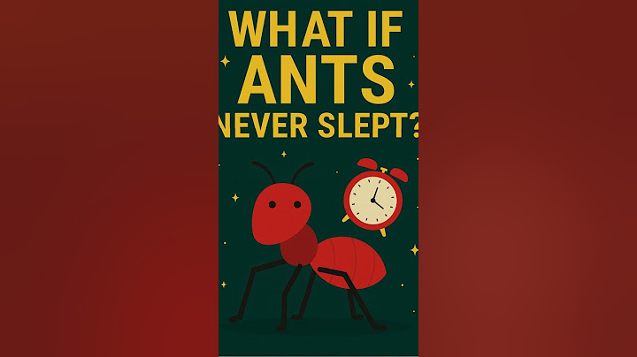 🐜 Do Ants Secretly Work 24/7? #shorts